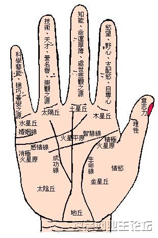 Ѫֻ濪 鿴 ʱϷ